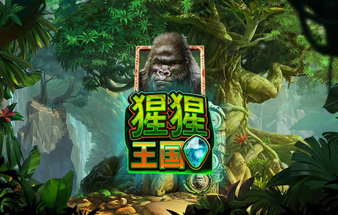 疯狂体育